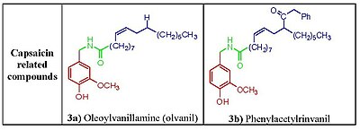 Figure 3. Structure activity relationship of the capsaicin related compounds oleovanillamine and phenylacetylrivanyl. Capsacin related compounds.jpg