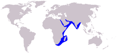 Cetacea range map Indian Humpback Dolphin.PNG