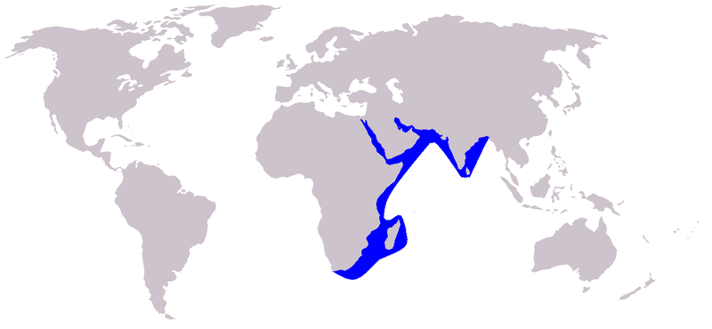 File:Cetacea range map Indian Humpback Dolphin.PNG