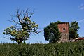 Tourelle du jardin avec un arbre remarquable