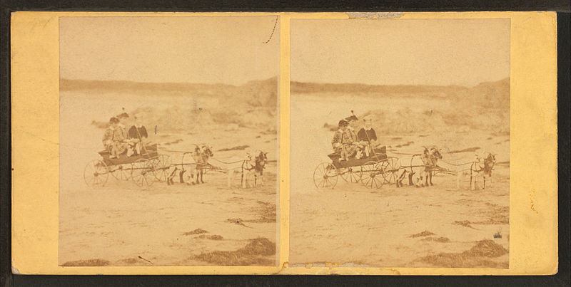 File:Children in goat cart on beach, from Robert N. Dennis collection of stereoscopic views 11.jpg