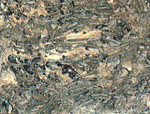 Chondrites fosil dipotong.png