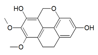 <span class="mw-page-title-main">Coelogin</span> Chemical compound