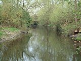 Colne Brook - geograph.org.uk - 156493.jpg