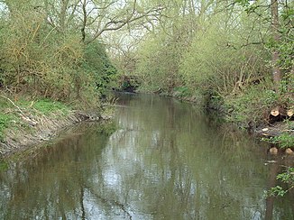 El Colne Brook