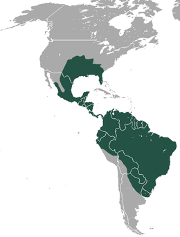 Distribución de Dasypus novemcinctus