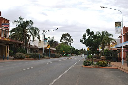 How to get to Condobolin with public transport- About the place