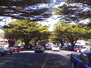 <span class="mw-page-title-main">Phillip Island Road</span>