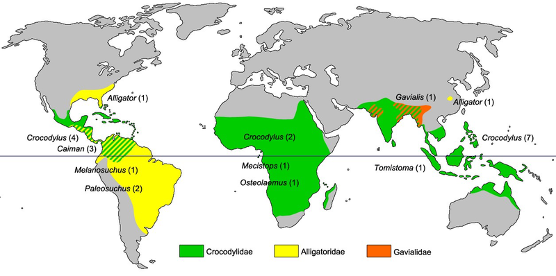 File:Crocodylia biogeography.png