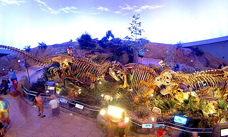 Tập_tin:DSC02558_Bucky_(T.rex_fossil),_Kelsey_(Triceratops_fossil)_and_Stan_(T._rex_cast).jpg