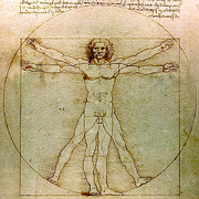 es:Hombre vitruviano, de Leonardo da Vinci, ca. 1490.