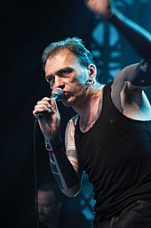 Daniel Darc aux Eurockéennes 2008.