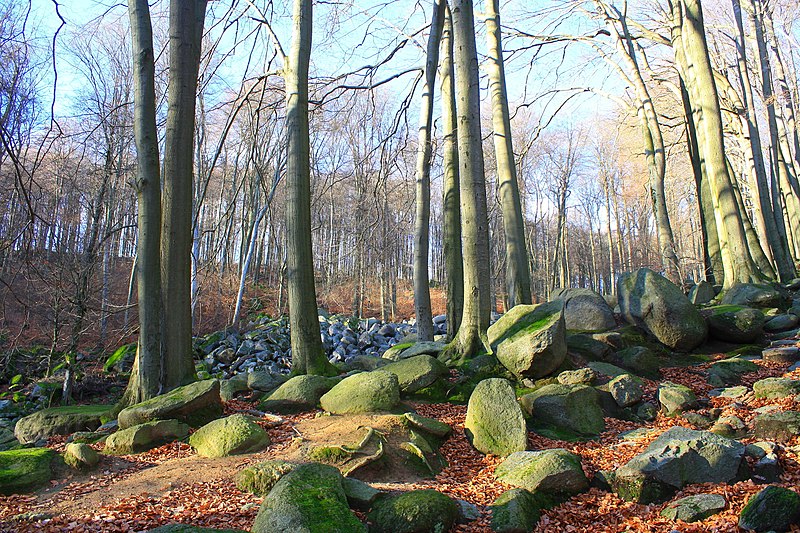 File:Das Felsenmeer im Odenwald (16).jpg