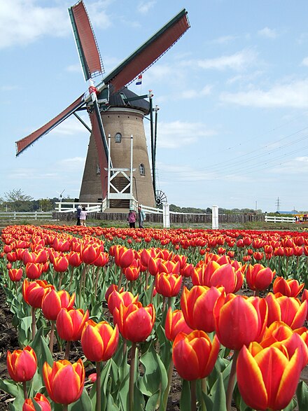 A replica 18th century Dutch windmill fabricated recently in the Netherlands and then assembled on the shore of Lake Imba near Sakura, Japan, named in honour of 'The Love' (De Liefde), the first Dutch sailing vessel to reach Japan in 1600. De Liefde Windmill, Sakura, Chiba, Japan - 20060417.jpg