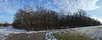 Dessau-Törten, former shooting range.jpg