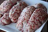 Detalle de los Sesos de Cordero-Brains of Lamb.jpg