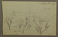Drawing, Hills, Trees, Low Sun, 1867 (CH 18190749).jpg