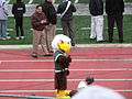 "Swoop", the EMU mascot, at the 2010 homecoming football game against the Ohio Bobcats.