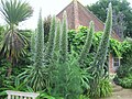 Thumbnail for File:East Ruston Vicarage Gardens - geograph.org.uk - 6195019.jpg