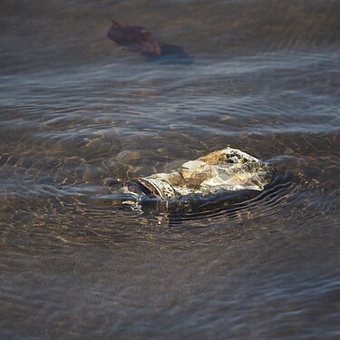 A crumpled empty can on the riverbank