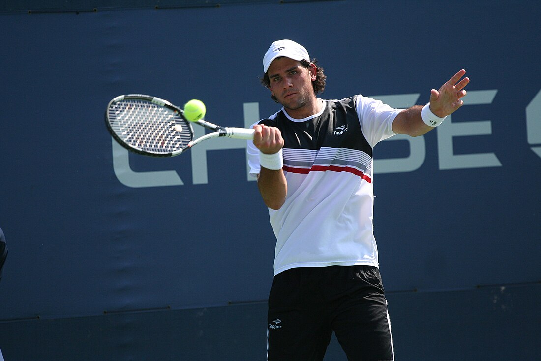 File:Eduardo Schwank at the 2010 US Open 01.jpg