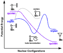 Energy of triplet and quintet states of Mn-Oxo species.gif