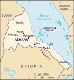 Etióp–Eritreai Háború: Előzmények, A harcok menete, Veszteségek