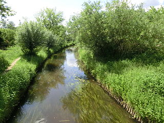 Erpe (Spree) River in Germany