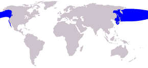 Description de l'image Eubalaena japonica range map.png.
