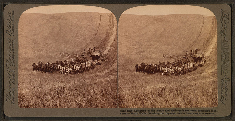 File:Evolution of the sickle and flail, 33-horse team combined harvester, Walla Walla, Washington, from Robert N. Dennis collection of stereoscopic views.jpg