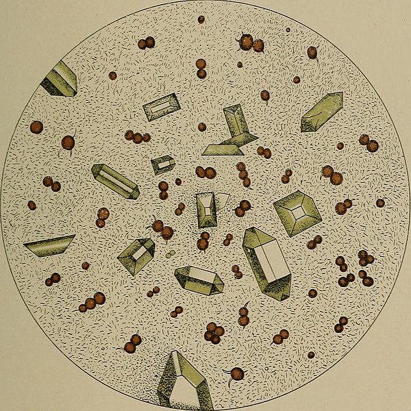 File:Examination of the urine; a manual for students and practitioners (1909) (14777380855).jpg