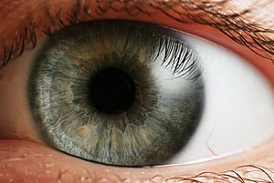 hipermetropie de formare a ochilor