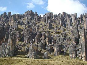 FOTO-7-Santuario-Nacional-de-Huayllay.jpg