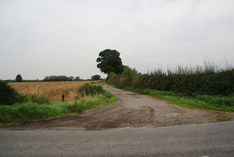 File:Farm track off Wide Howe Lane - geograph.org.uk - 3636828.jpg