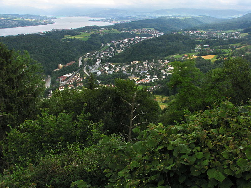 File:Felsenegg - Sihltal - Langnau am Albis - Zimmerberg IMG 3226.jpg