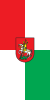 Flag of Šentjur