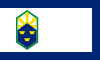 Colorado Springs, Colorado bayrağı