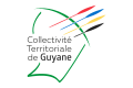 Bandeira local empregada polo Goberno Rexional da Colectividade Territorial da Güiana Francesa.