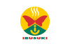 Flag of Ibusuki