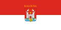 Flag of Kalocsa.svg