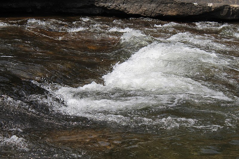 File:Floating in village.jpg