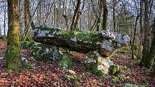 Le dolmen de Saint-Maximin.