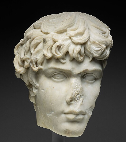 File:Fragment of a Portrait Head of Antinous, AD 130-138. The Art Institute of Chicago.jpg