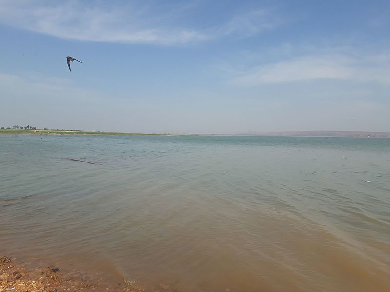 File:Full Water dam with flying bird.jpg