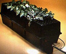 Genesis Rooting System di GTi, 1983.