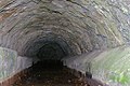 Der Tunnel im Schloßberg aus dem die Bächle betrieben werden Bachabschlag 2009