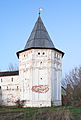 * Nomination South-west tower of abandoned Goritsky monastery.--PereslavlFoto 11:35, 7 November 2012 (UTC) * Promotion Small CA, QI for me --The Photographer 15:31, 7 November 2012 (UTC)