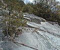 Granite (Mt. Airy Pluton, 331-337 Ma, Middle Mississippian; Mt. Airy, North Carolina, USA) (51360448811).jpg