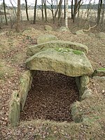 Gran tumba de piedra Steinfeld 1