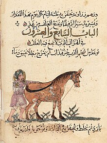The Kitab al-baytarah is the only manuscript whose place of production is securely attributed to Baghdad and dated to 1209-1210 through its colophon. Grooming a horse, Kitab al-baytara, 1210, Topkapi Museum. Grooming a horse, Kitab al-baytara 1210, Topkapi Museum.jpg